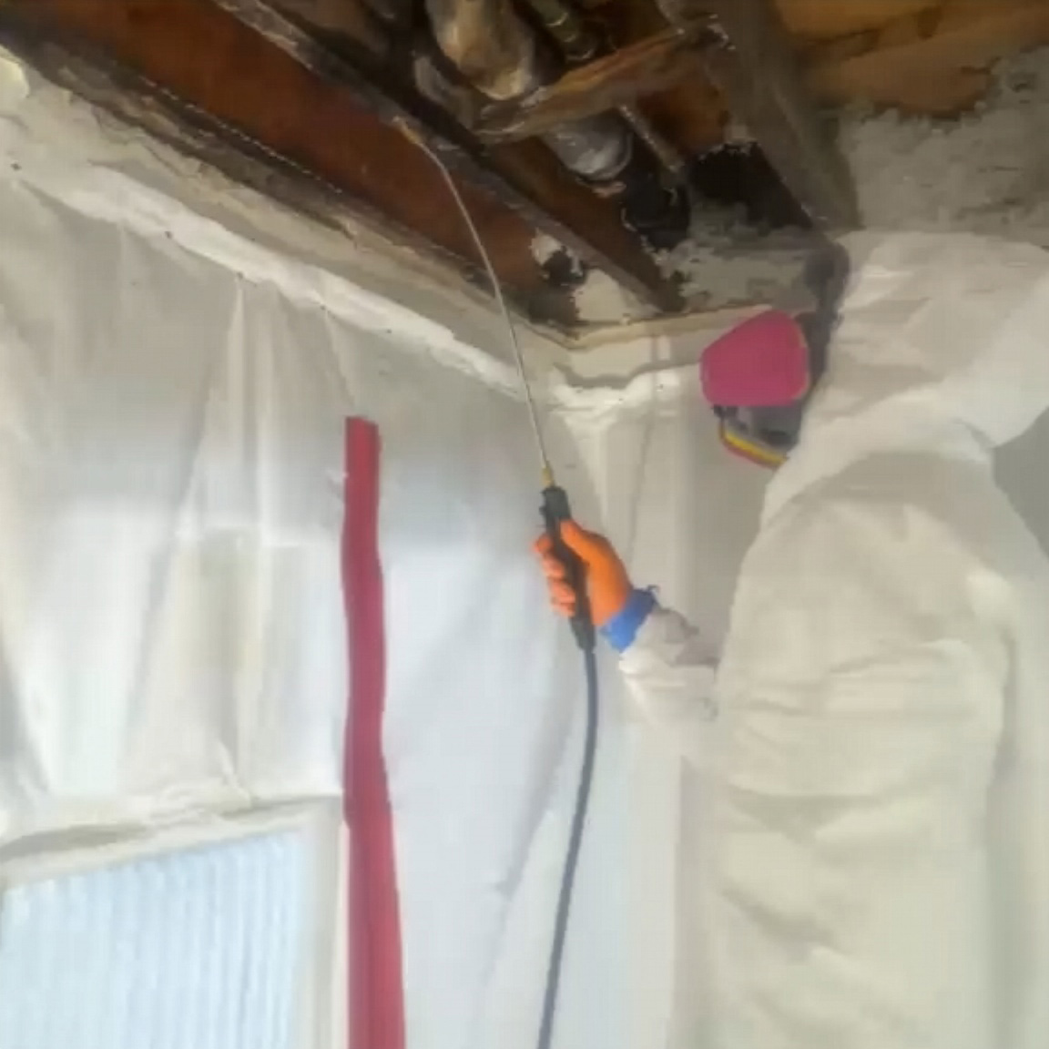 Microbial spray during a mold remediation